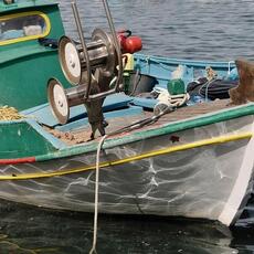 El TJUE anula los pactos de pesca y productos agrícolas entre los Veintisiete y Marruecos